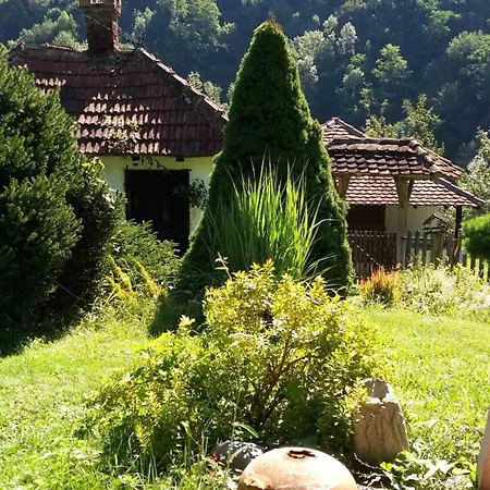 плави вајат בית נופש