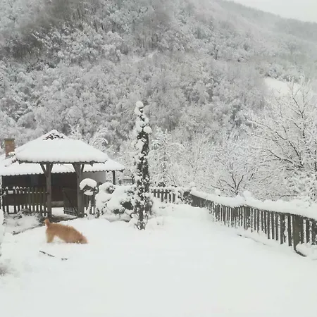 בית נופש плави вајат