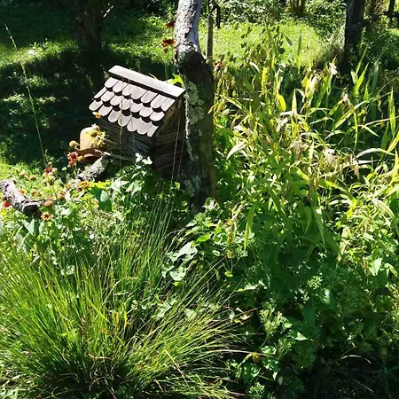 плави вајат Tatil Evi *