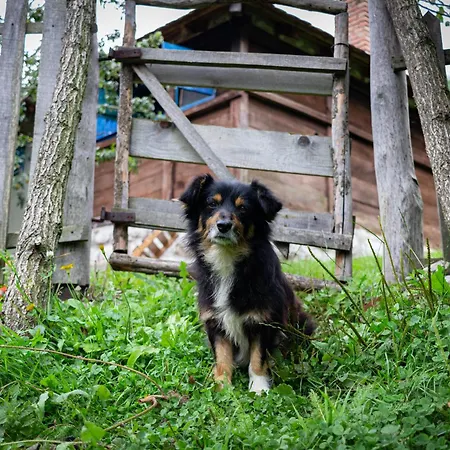 בית נופש плави вајат