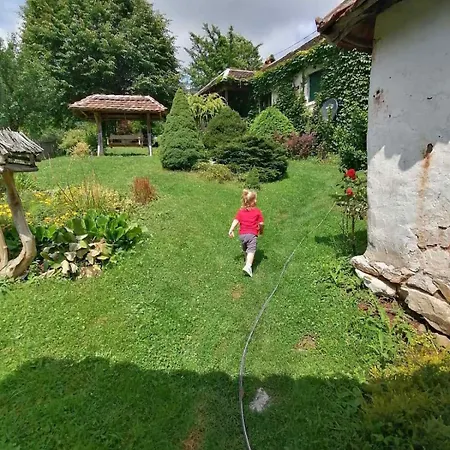 плави вајат