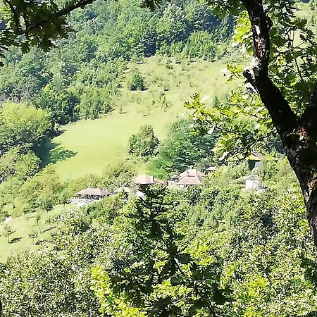 плави вајат Gornje Leskovice