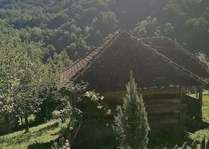 плави вајат