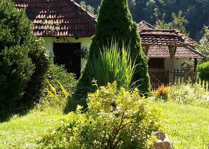 плави вајат Tatil Evi