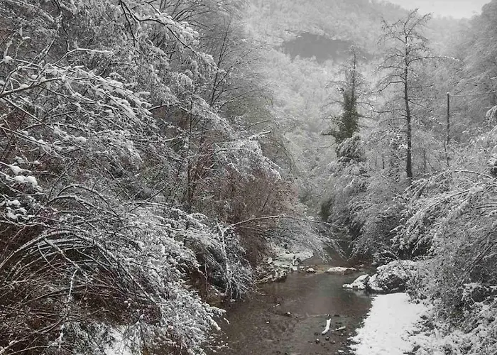 плави вајат * Gornje Leskovice