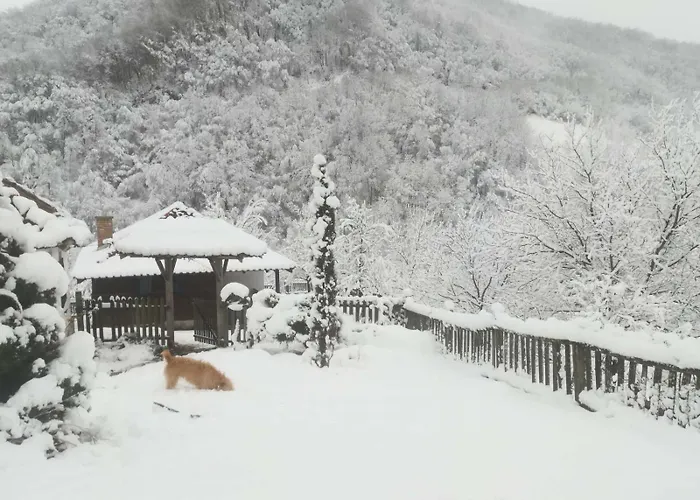 Tatil Evi плави вајат