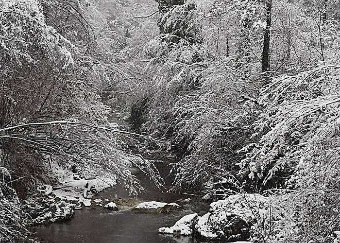 плави вајат Tatil Evi