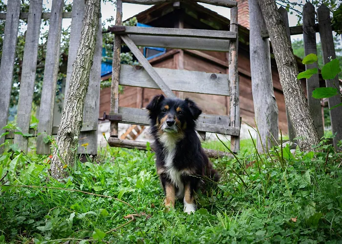 Tatil Evi плави вајат