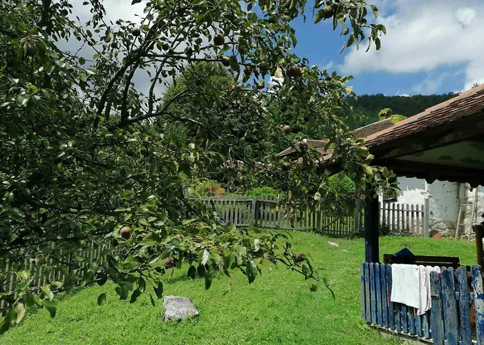 Tatil Evi плави вајат *